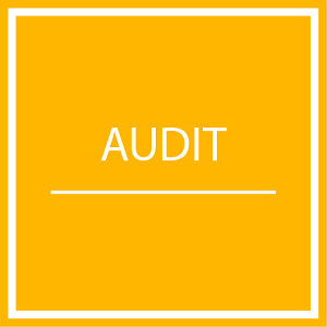audit